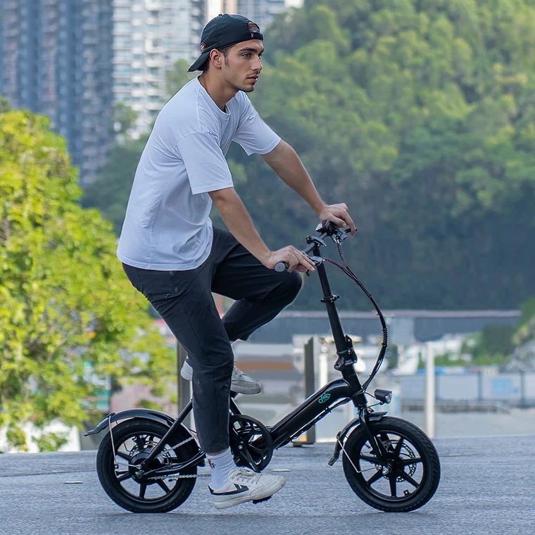 Fiido d3 electric bike hotsell