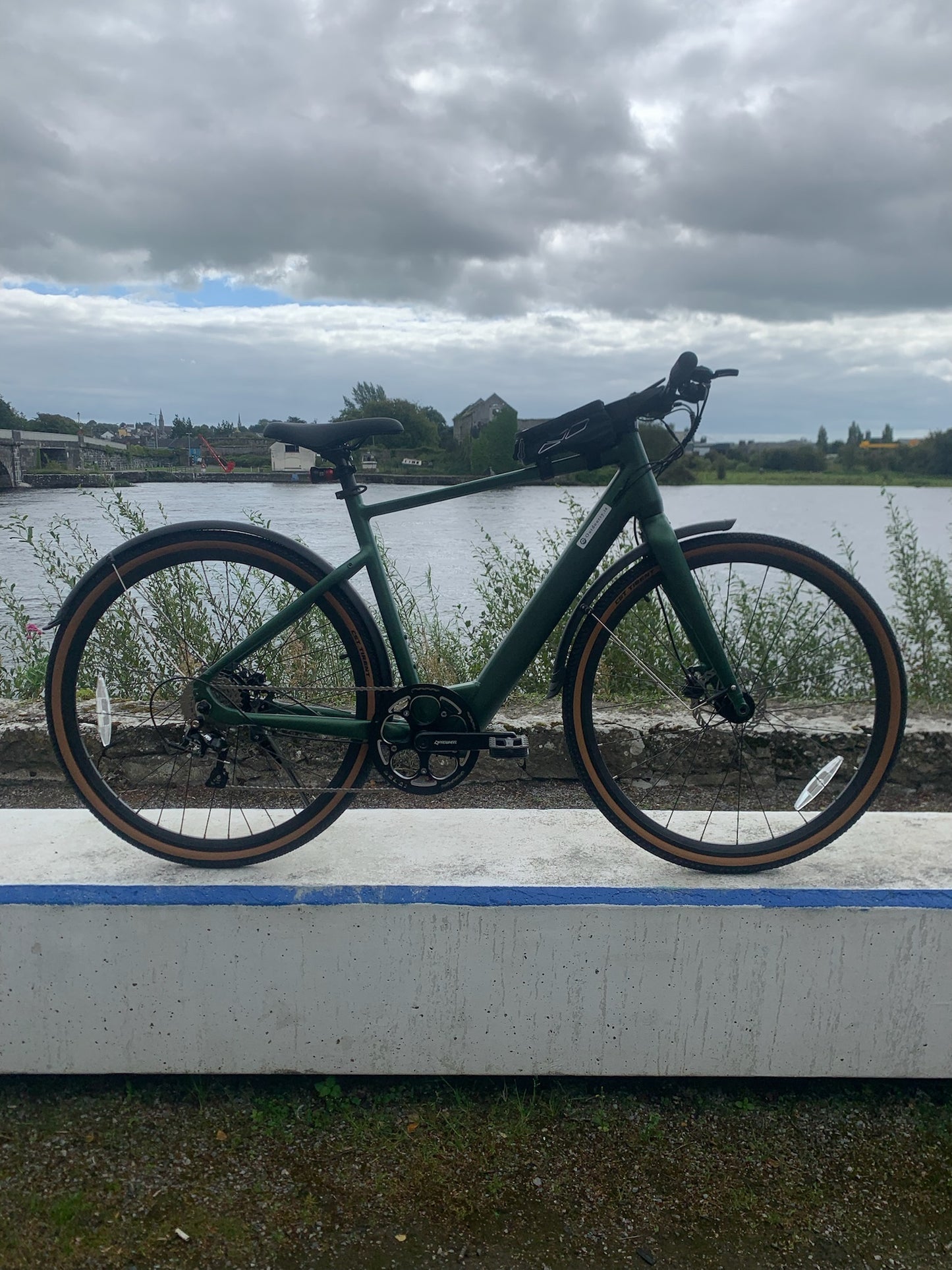 Fiido E-Gravel C21-Step Over