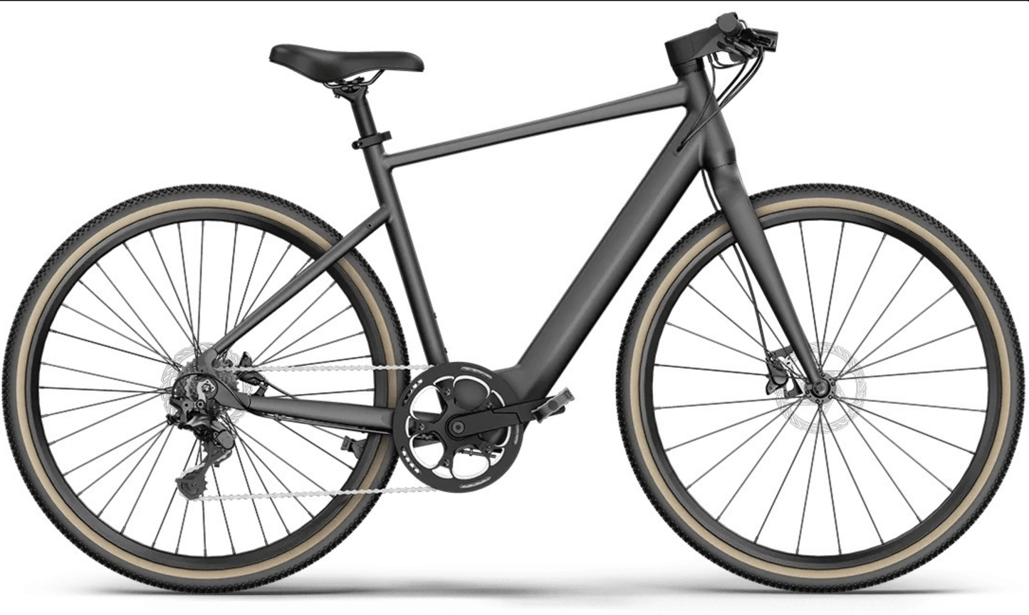 Fiido E-Gravel C21-Step Over