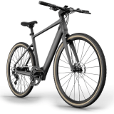 Fiido E-Gravel C21-Step Over