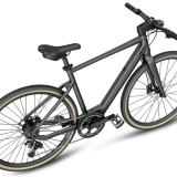 Fiido E-Gravel C21-Step Over