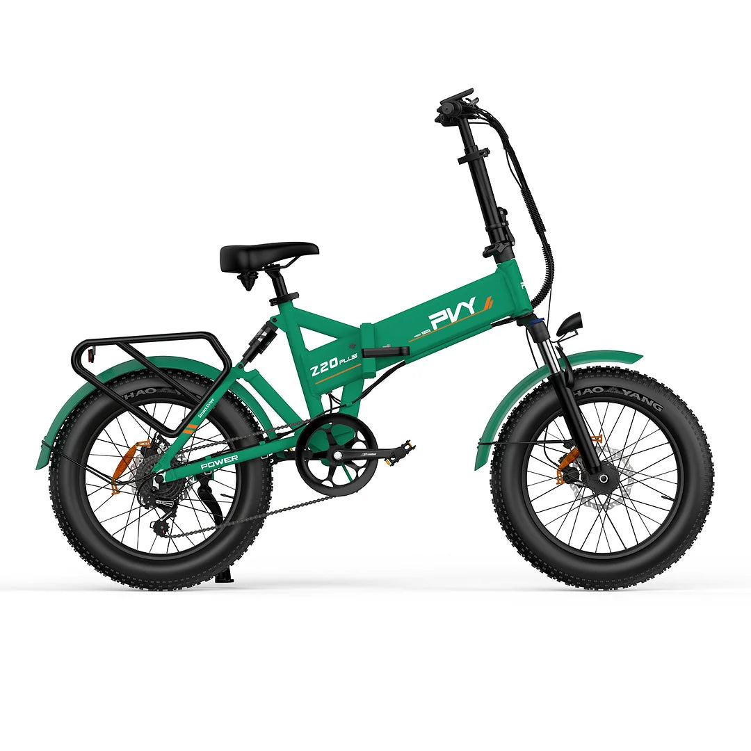 PVY Z20 Plus 1000 eBike