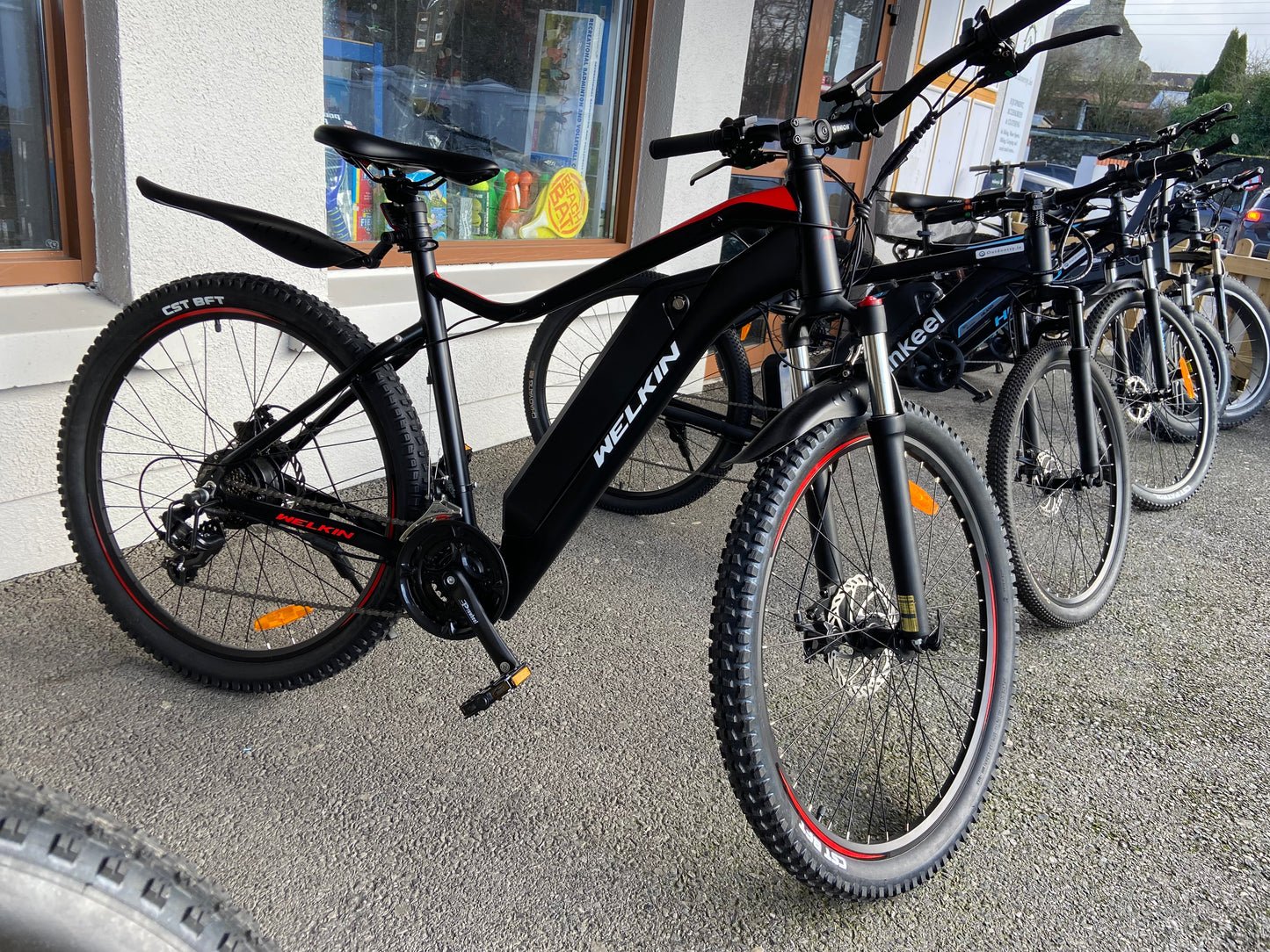 Welkin Stealth 36v 350w Electric Mountain Bike