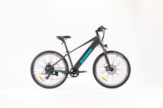 Bleubird Summit 36V E-Bike