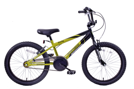 Ammaco Boys Rocky 20"